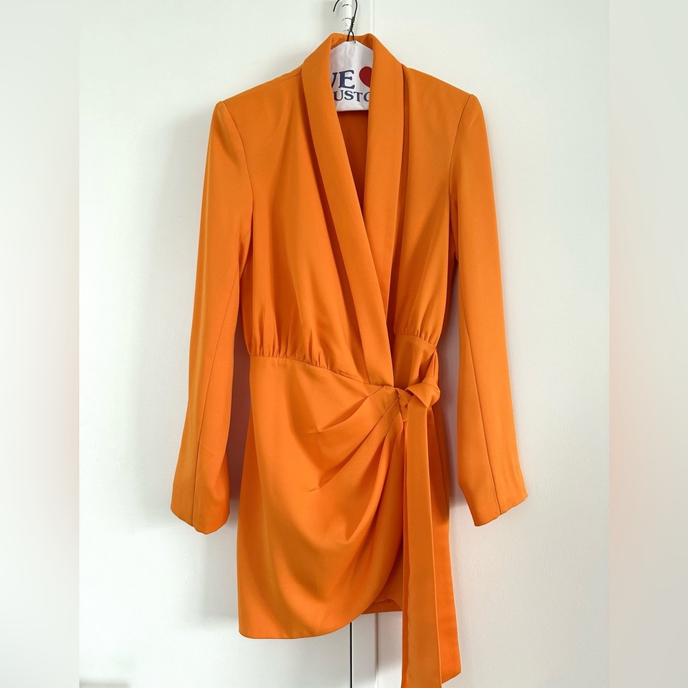 Misha collection Azera long sleeve mini dress, size 4 but fits size 2 as well